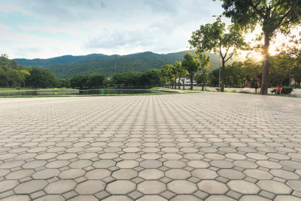 Best Residential Paver Driveway  in Neptune City, NJ