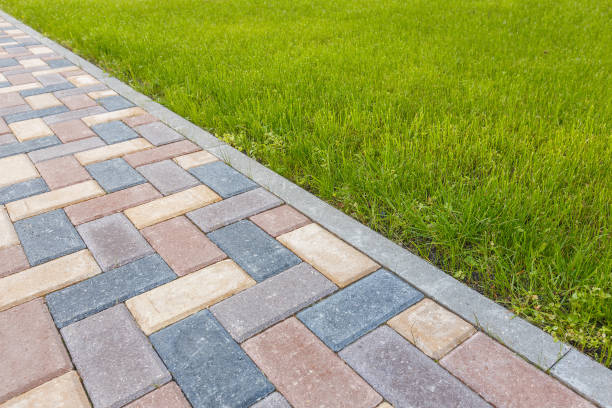 Best Commercial Driveway Pavers  in Neptune City, NJ